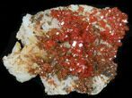 Red Vanadinite Crystal Cluster - Morocco #36990-1
